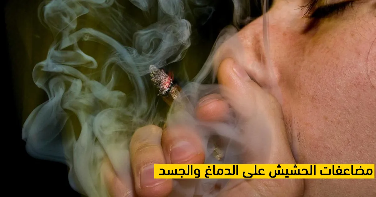 مضاعفات الحشيش على الدماغ والجسد